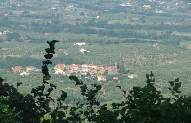 Podere Calistri Larciano المظهر الخارجي الصورة