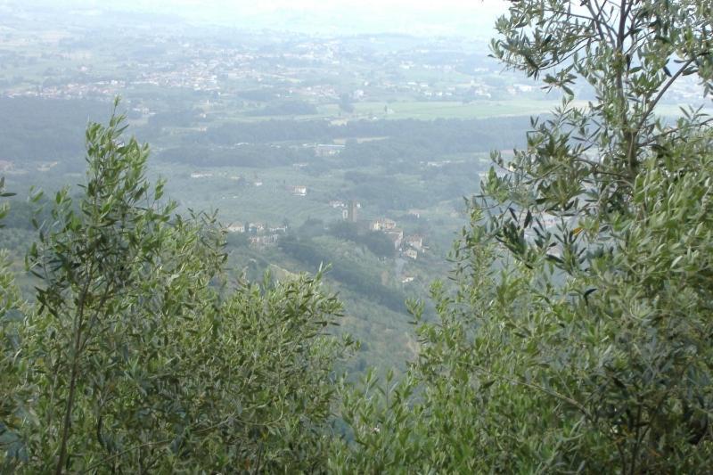 Podere Calistri Larciano المظهر الخارجي الصورة